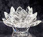 �@�̉ԁi�����j